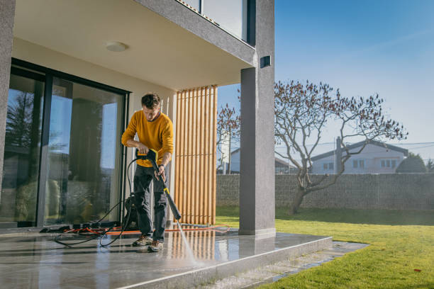 Best Gutter Cleaning  in South Amherst, OH